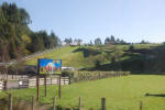 The Zorb Hills