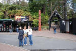 Glow Worm Cave Entrance