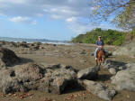 Beach Riding