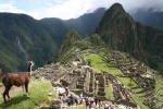 Resident Looks at Daytrippers