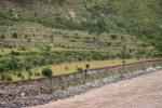 Hikers Begin the Inca Trail