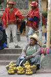 Porters looking for work