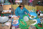 Selling Coca Leaves