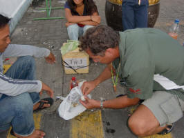 Picking Off Some Shell