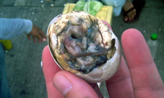 18--Day-Old Duck Embryo