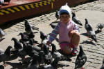 Polish Pigeons
