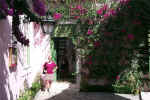 Restaurant de Cozinha Velha