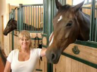 Pampered Horses