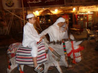 Donkey Rides