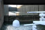 Double Lock