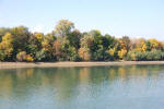 Fall Foliage