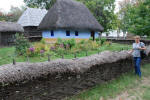 Rural Fence