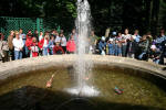 Fun Fountains