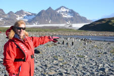 Look!  More Penguins