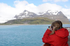 On Lookout for Penguins