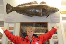 Toothfish