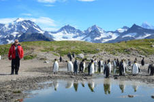 Penguin Reflections