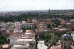 Alcazar Overview