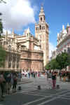 Seville's Cathedral