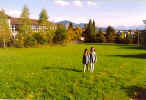 Our School