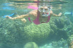 Coral Garden Snorkeling
