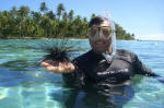 Sea Urchin
