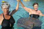 Swimming with Stingrays