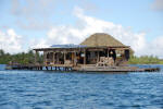 Black Pearl Farm