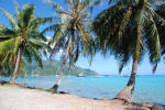 Moorea Boats