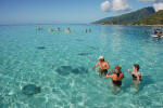Stingrays and Sharks