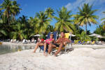 Private Paradise