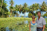 Lily Pond