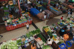 Fresh Produce