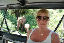 Photographing Elephants