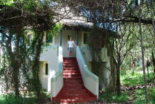 Serena Room