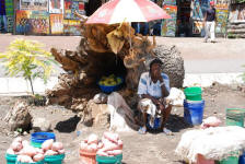 Potato Saleswoman