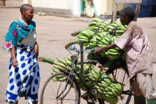 Banana Store