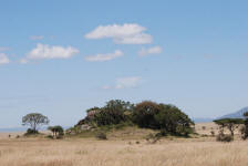 Serengeti Kopjes