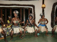 Show at Serena