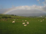 Antrim Coast Rainbow