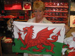 Welsh Flag