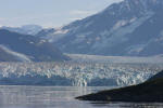 Long Tidewater Glacier