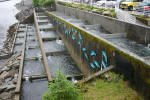 Fish Ladder