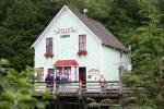 Dolly's House