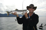 Pink Salmon