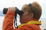 Whale Watching