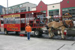 Horse Drawn Tour