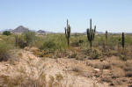 Desert Southwest