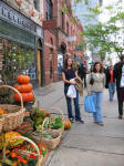 Boston in the Fall