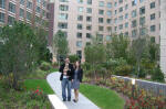 Trilogy Courtyard